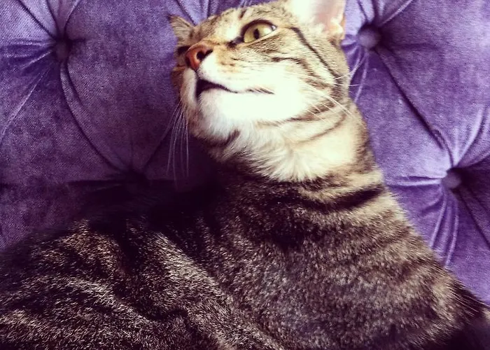 Maison Decò Catania